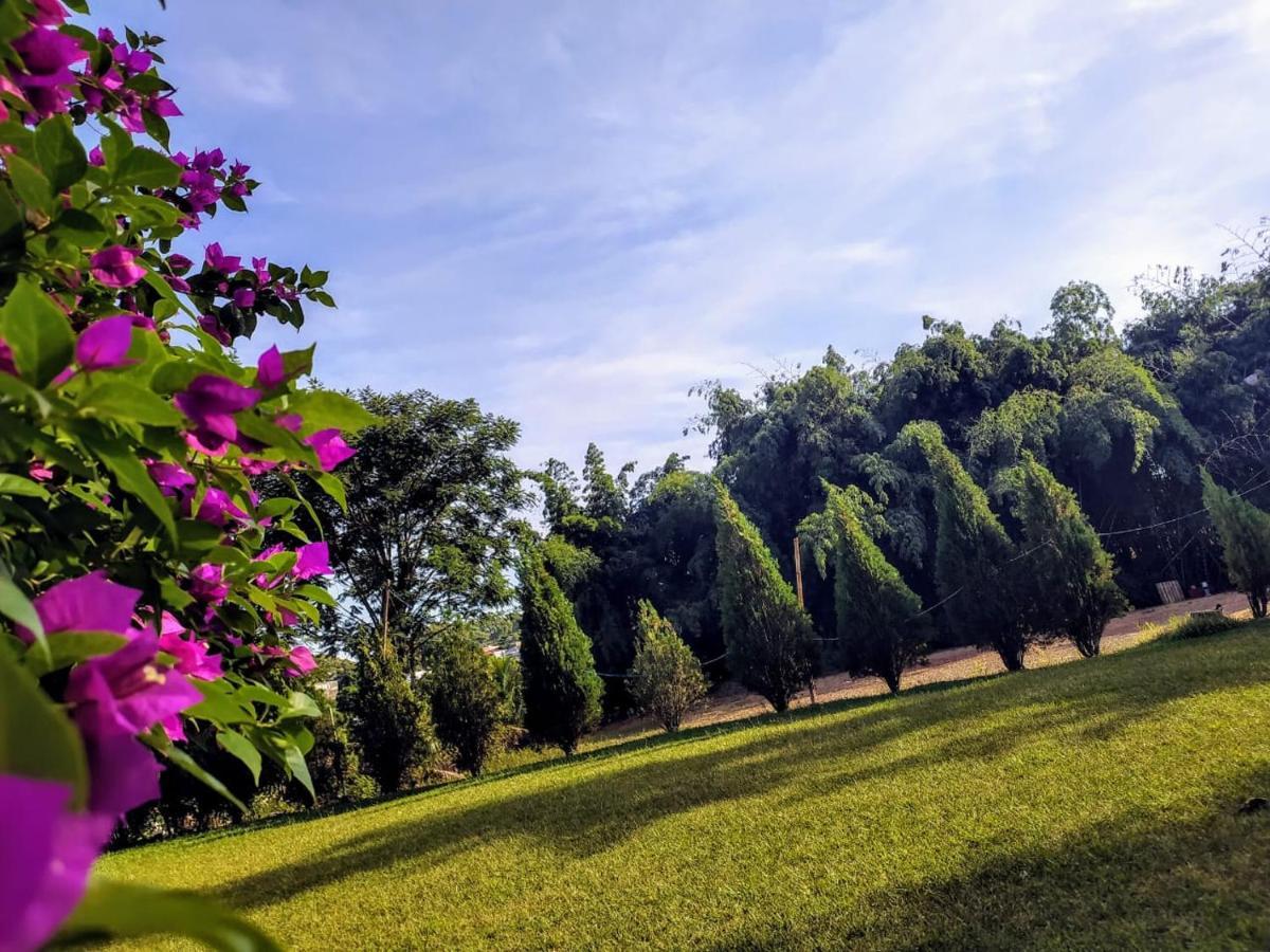 Velinn Hotel Natureza Foz Foz do Iguacu Ngoại thất bức ảnh