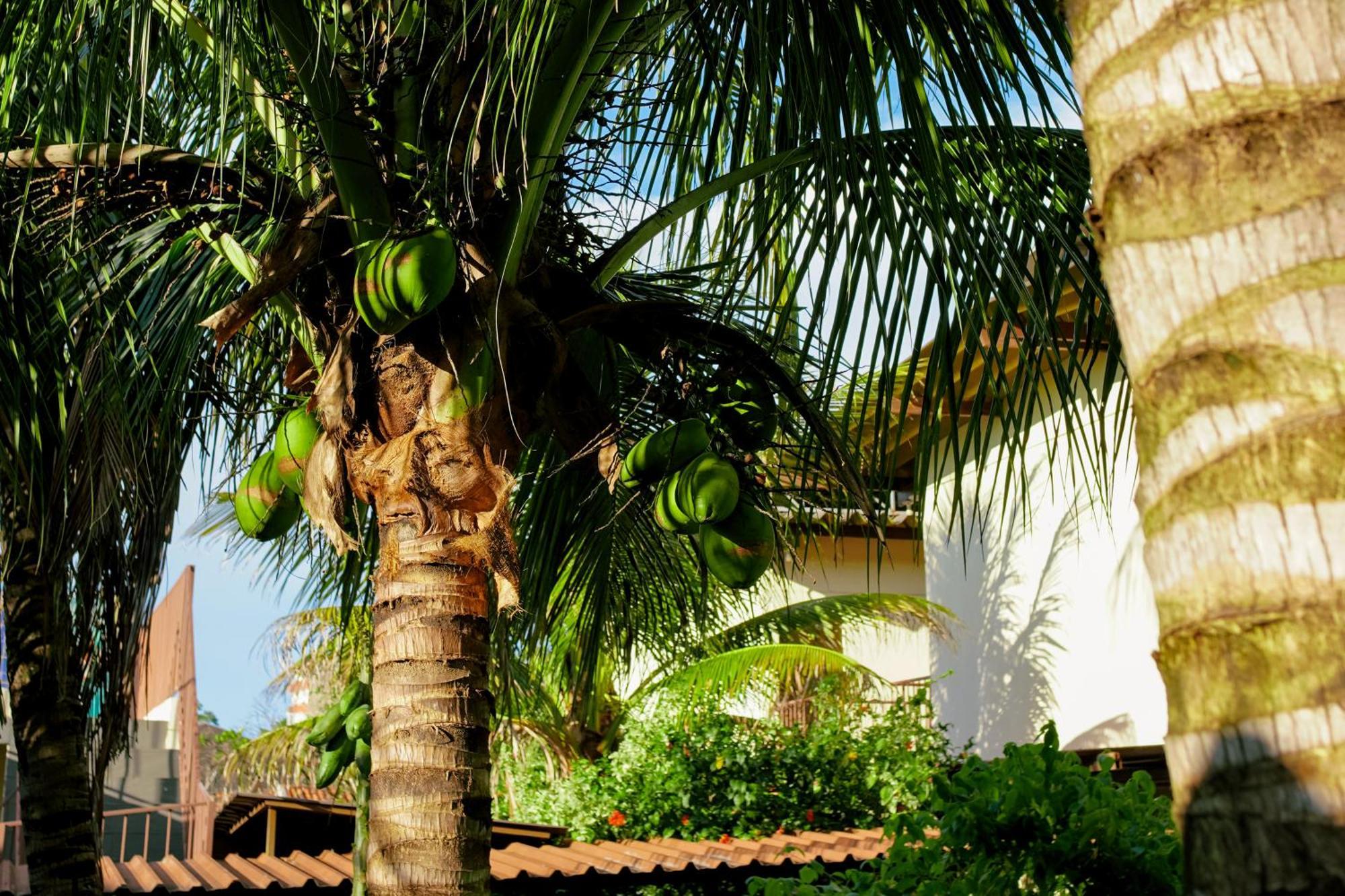 Velinn Hotel Natureza Foz Foz do Iguacu Ngoại thất bức ảnh