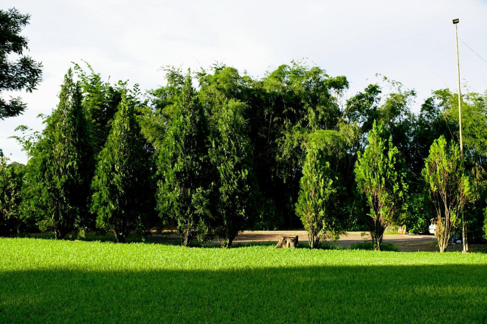 Velinn Hotel Natureza Foz Foz do Iguacu Ngoại thất bức ảnh