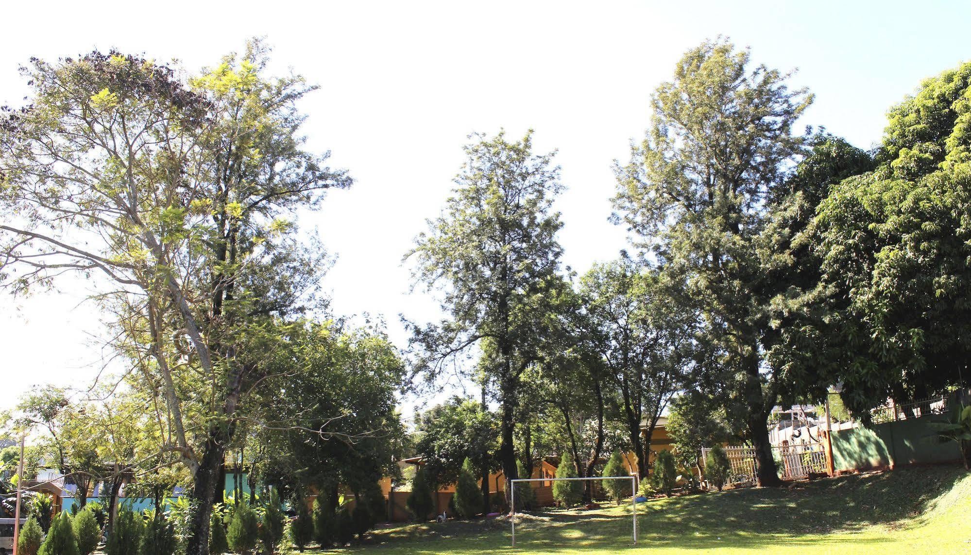 Velinn Hotel Natureza Foz Foz do Iguacu Ngoại thất bức ảnh